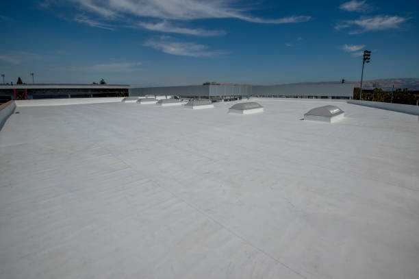 Best Sheet Metal Roofing  in Pahala, HI